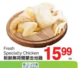 T&T Supermarket FRESH SPECIALTY CHICKEN offer
