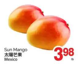 T&T Supermarket SUN MANGO offer