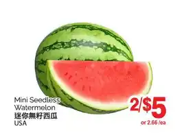 T&T Supermarket MINI SEEDLESS WATERMELON offer