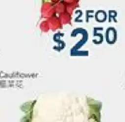Oceans Fresh Food Market Bunch Red Radish offer