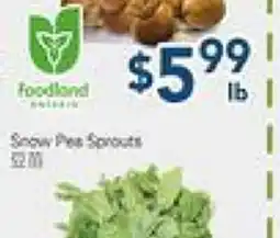 Oceans Fresh Food Market Local Shiitake Mushroom offer
