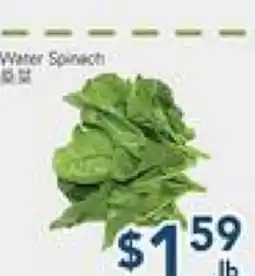 Oceans Fresh Food Market Water spinach offer