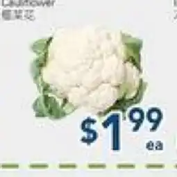 Oceans Fresh Food Market Cauliflower offer