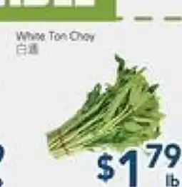 Oceans Fresh Food Market White Ton choy offer