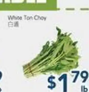 Oceans Fresh Food Market White Ton choy offer