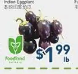 Oceans Fresh Food Market Indian Eggplant offer