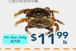Oceans Fresh Food Market Live BC Crab offer
