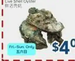 Oceans Fresh Food Market Live Shell Oyster offer