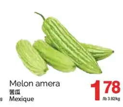 T&T Supermarket MELON AMERA offer