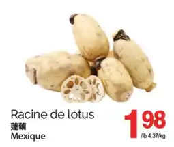 T&T Supermarket RACINE DE LOTUS offer