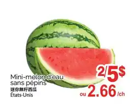 T&T Supermarket MINI-MELON D'EAU SANS PÉPINS offer