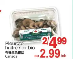 T&T Supermarket PLEUROTE HUÎTRE NOIR BIO offer