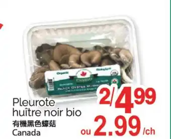 T&T Supermarket PLEUROTE HUÎTRE NOIR BIO offer