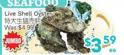 Ample Food Market Live Shell Oyster offer