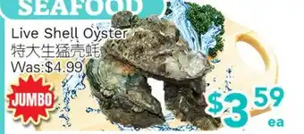 Ample Food Market Live Shell Oyster offer
