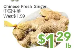 Ample Food Market Chinese Fresh Ginger offer