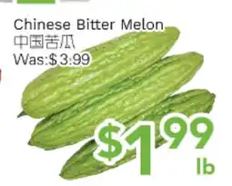 Ample Food Market Chinese Bitter Melon offer