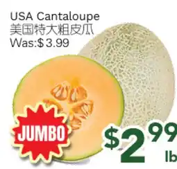 Ample Food Market USA Cantaloupe offer