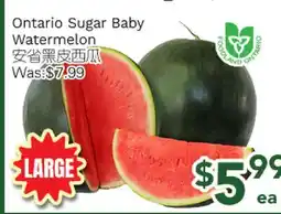 Ample Food Market Ontario Sugar Baby Watermelon offer