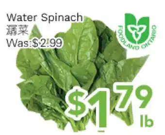 Ample Food Market Water Spinach offer