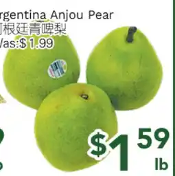Ample Food Market Argentina Anjou Pear offer