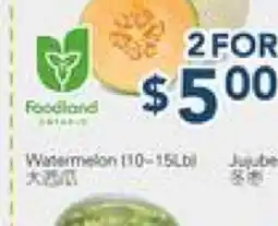 Oceans Fresh Food Market Watermelon (10- 15 lb) offer