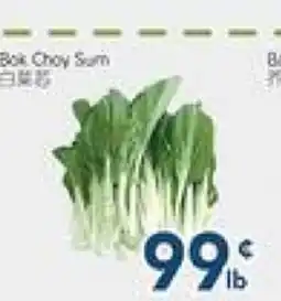 Oceans Fresh Food Market Bok Choy Sam offer