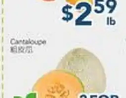 Oceans Fresh Food Market Cantaloupe offer