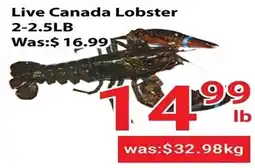 Nations Fresh Foods Live Canada Lobster offer
