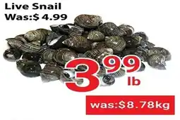 Nations Fresh Foods Live Snail offer