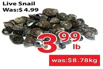 Nations Fresh Foods Live Snail offer