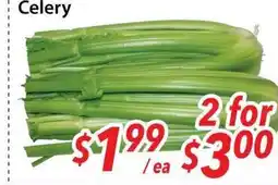 Bestco Food Mart Celery offer