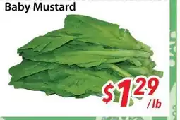 Bestco Food Mart Baby Mustard offer