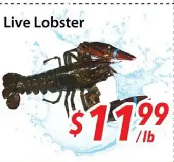 Bestco Food Mart Live Lobster offer