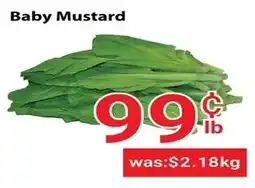 Nations Fresh Foods Baby mustard offer