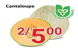 Nations Fresh Foods Cantaloupe offer