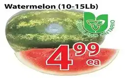 Nations Fresh Foods Watermelon offer