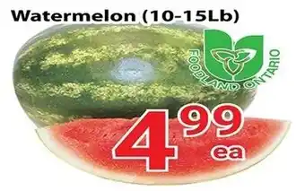 Nations Fresh Foods Watermelon offer