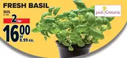 Metro Fresh basil offer