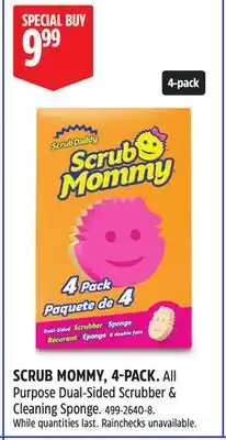 Canadian Tire Scrub Mommy, 4 - Pack offer