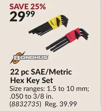 Princess Auto 22 pc SAE/Metric Hex Key Set offer