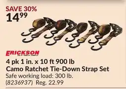Princess Auto 4 pk 1 in. x 10 ft 900 lb Camo Ratchet Tie-Down Strap Set offer