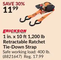 Princess Auto 1 in. x 10 ft 1,200 lb Retractable Ratchet Tie-Down Strap offer