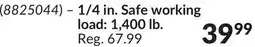 Princess Auto 100 ft Galvanized Steel Cables offer