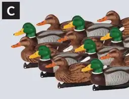 Princess Auto Decoy - 12 pc Mallard Duck Floater offer