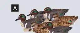 Princess Auto Decoy Sets 6 pc Green-Winged Teal Duck Floater offer