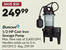 Princess Auto 1/2 HP Cast-Iron Sewage Pump offer