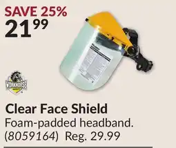 Princess Auto Clear Face Shield offer