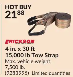Princess Auto 4 in. x 30 15,000 lb Tow Strap offer