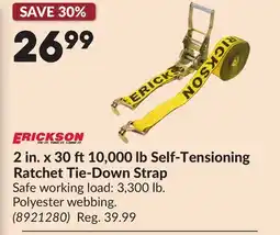 Princess Auto 2 in. x 30 ft10,000 lb Self-Tensioning Ratchet Tie-Down Strap offer